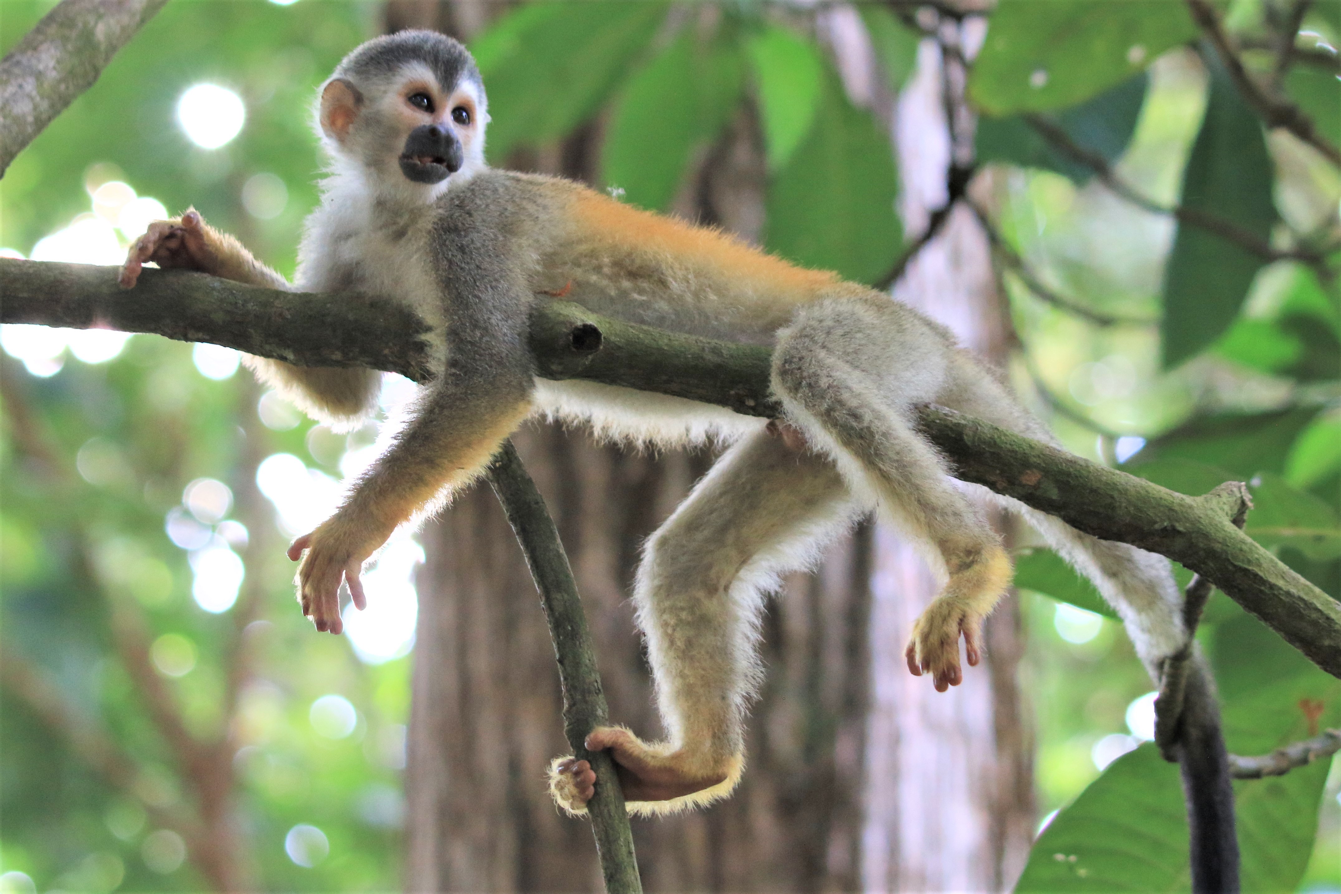 Costa Rica